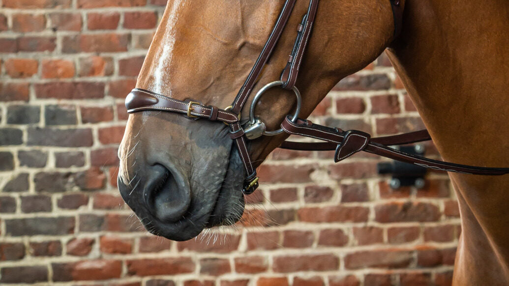 DY'ON Adjustable Drop Noseband - D Collection image 1