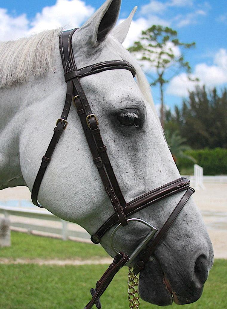 AVILA EQUESTRIAN BRIDLE APRILIA JFS (BRASS) BROWN