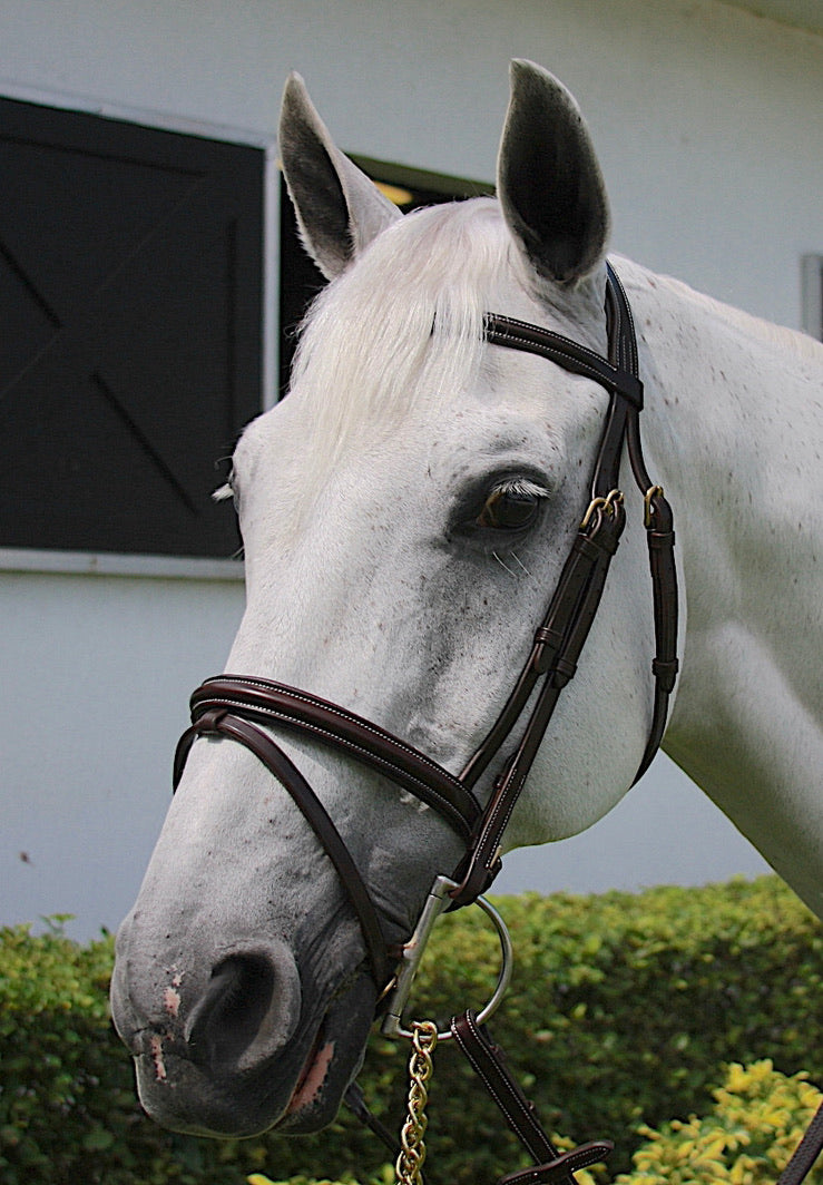 AVILA EQUESTRIAN SIENA BRIDLE - BROWN