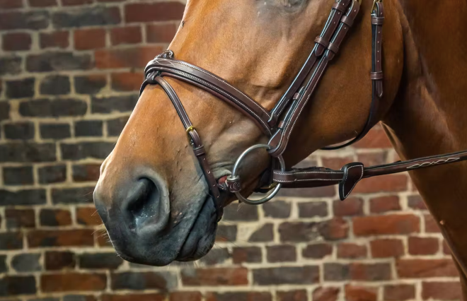 DY'ON FLASH NOSEBAND BRIDLE - D COLLECTION