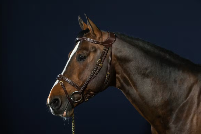 Dyon "Difference" Bridle