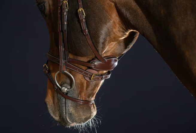 Dyon "Difference" Bridle