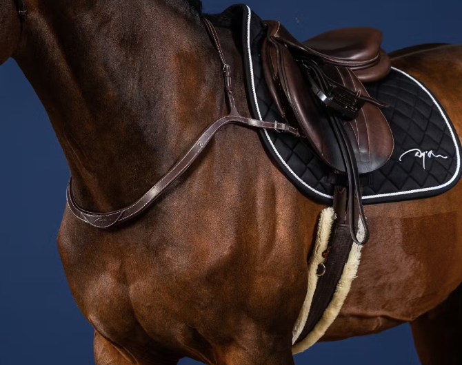 DYON Breast Collar