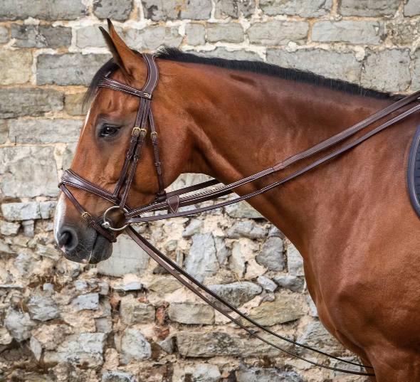 DYON Full Leather Draw Reins 1/2"