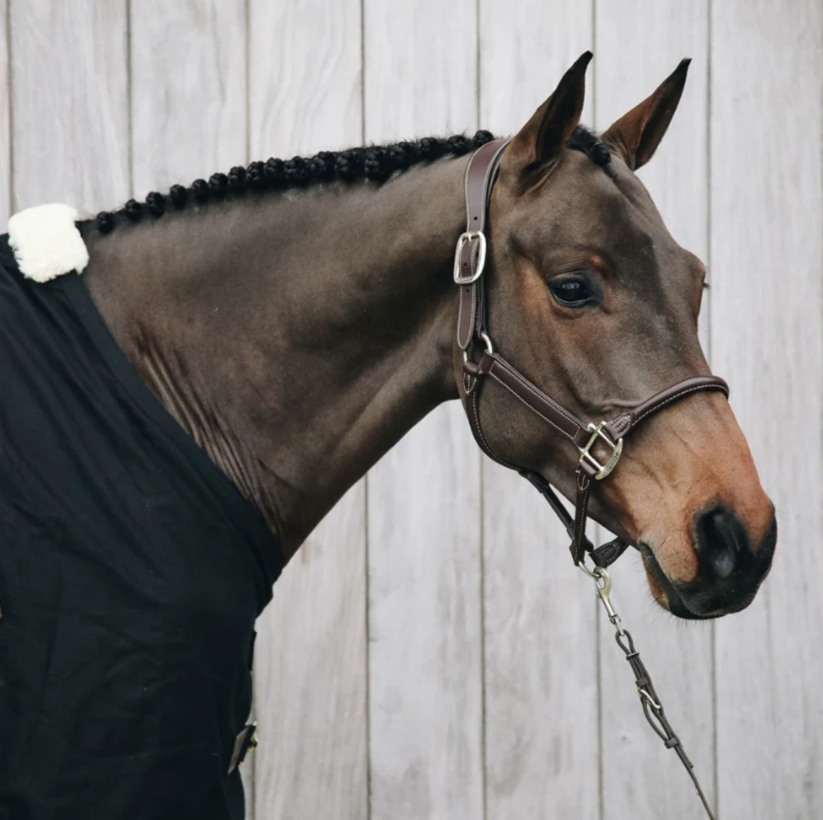 Kentucky Leather Anatomic Halter Full Brown