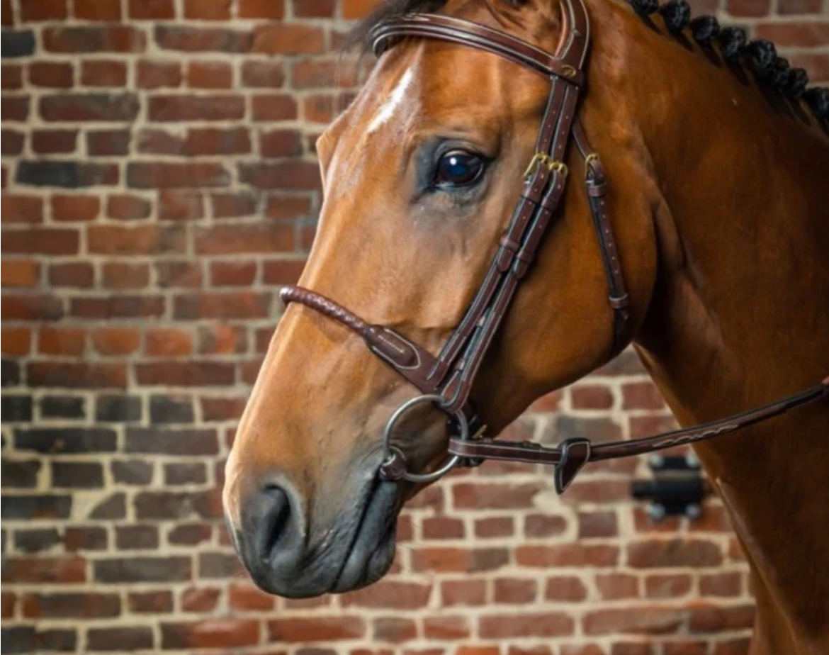 LEATHER COVERED ROPE NOSEBAND - D COLLECTION BROWN FULL