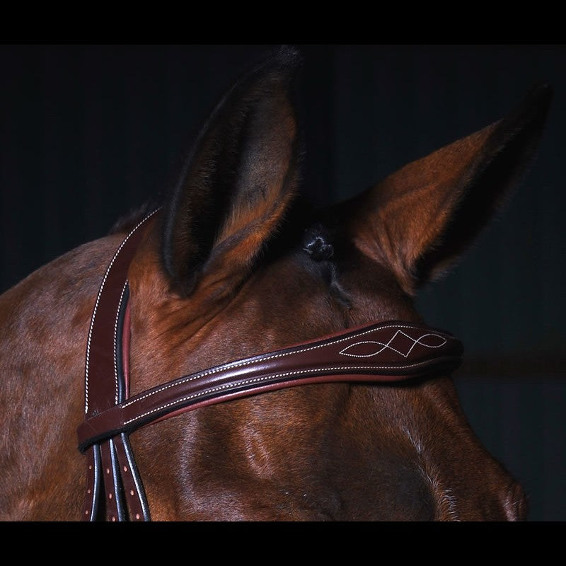 DY'ON ANATOMIC FLASH NOSEBAND BRIDLE - D - COLLECTION BROWN