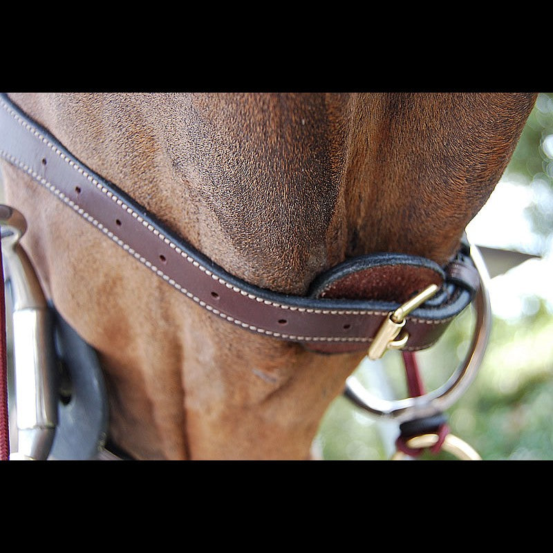 DY'ON ANATOMIC FLASH NOSEBAND BRIDLE - D - COLLECTION BROWN