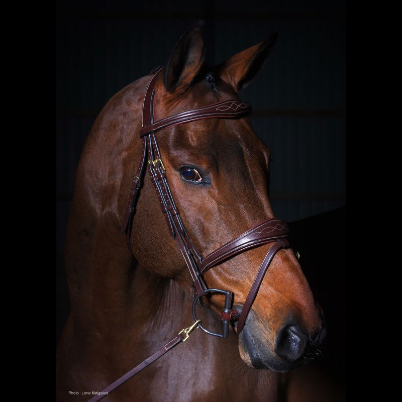 DY'ON ANATOMIC FLASH NOSEBAND BRIDLE - D - COLLECTION BROWN