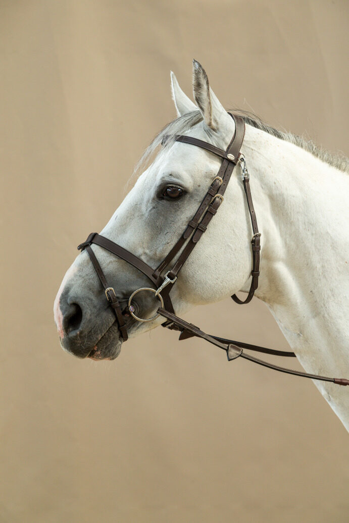 DY'ON FLAT LEATHER BRIDLE WITH SNAP HOOKS - WO COLLECTION BROWN COB