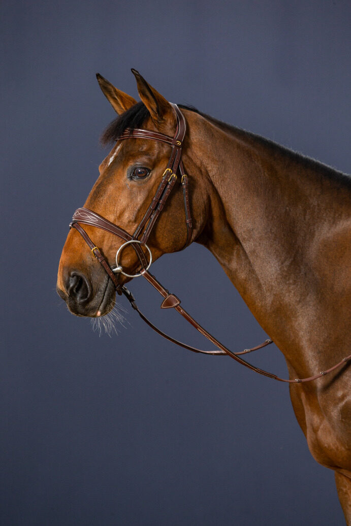 DY'ON ANATOMIC FLASH NOSEBAND BRIDLE - D - COLLECTION BROWN