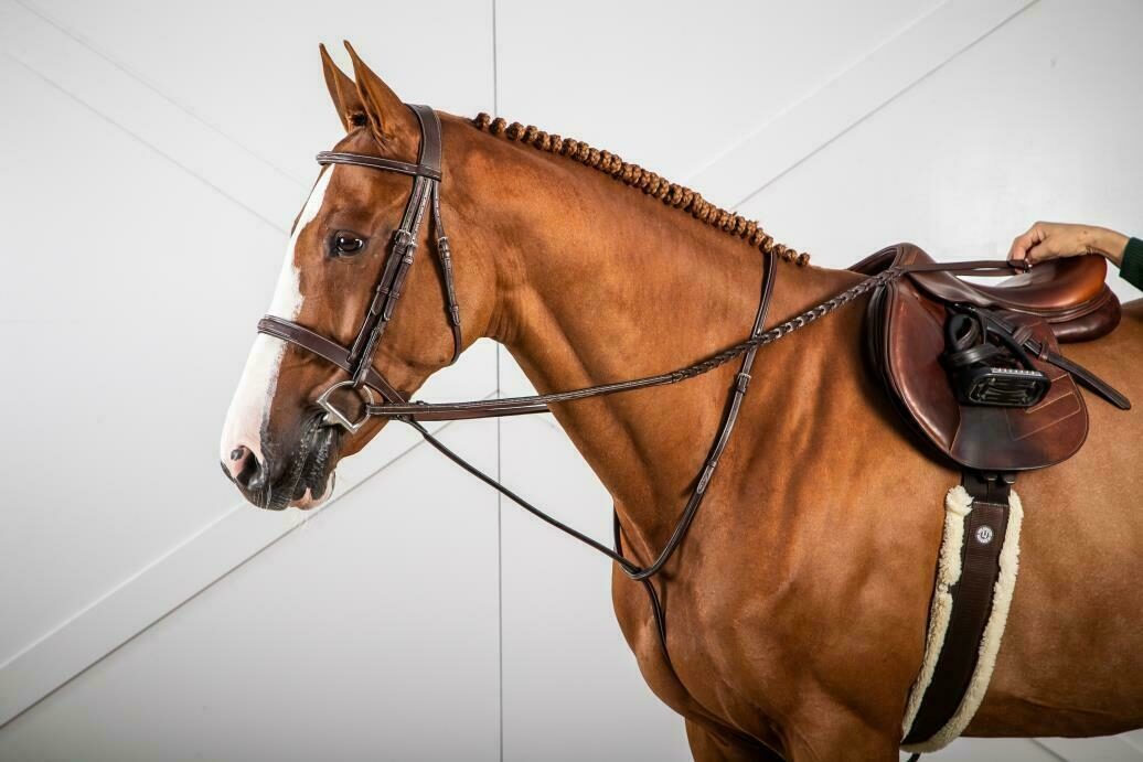 DY'ON Standing Martingale - H Collection Brown Cob