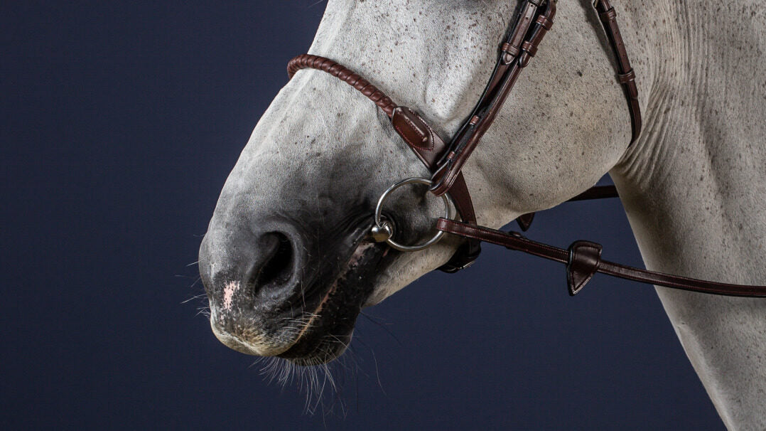 DY'ON Leather Covered Rope Noseband - NEW ENGLISH COLLECTION