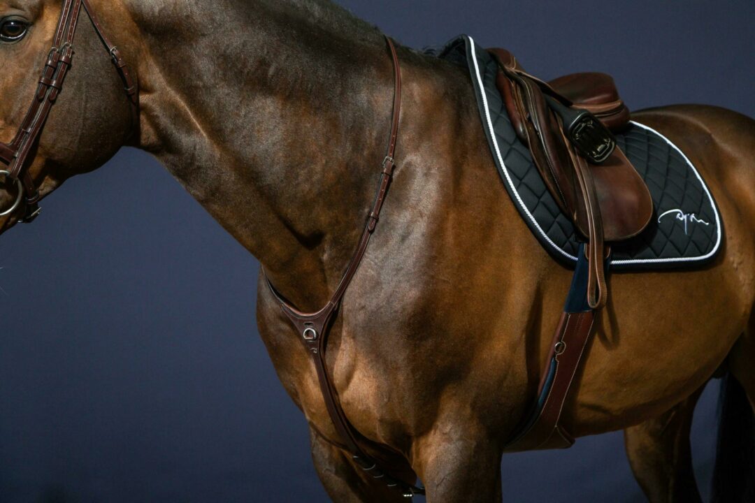 Yoke - NE Collection Brown Cob