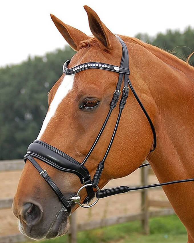 large-crank-flash-noseband-bridle-b152mb-equis-boutique